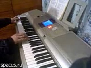 Розовые розы