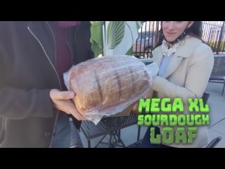 Food Theory I Wore Paneras Bread Gloves for 24 Hours! (Panera Bread)