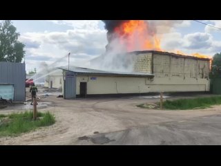 Горит спиртзавод в Подмосковье