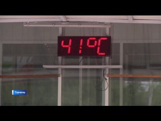 Под высоким градусом: как тюменцы переживают аномальную жару