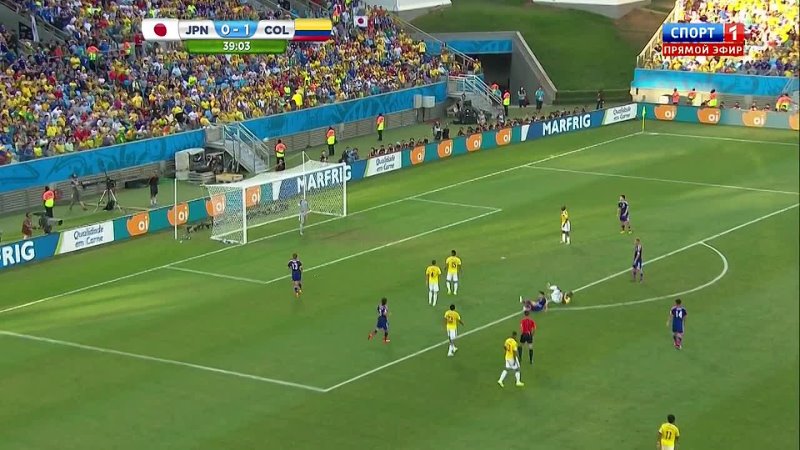 WC 2014. Match 39. Japan - Colombia