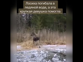 Люди не проходите мимо, если есть возможность спасти чью-то жизнь