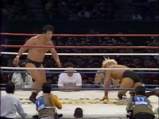 Tatsumi Fujinami vs. Ric Flair - IWGP Heavyweight Title / NWA World Heavyweight Title Match - NJPW Starrcade 1991 ()