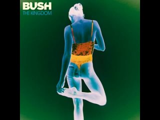 Bush - The Art Of Survival [Full Album] 2022