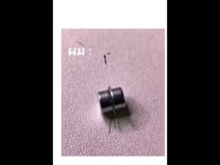 Mosquito gets squashed by magnet