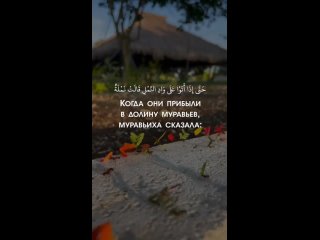 Чтец_ Анас Аль-Шафей❤Сура_ Ан-Намль (Муравьи)❤Очень красивое чтение Корана (720p).mp4