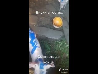 Внук у бабушки в гостях