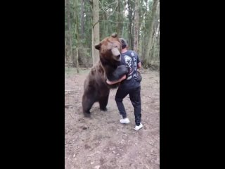 Ясубей Эномото борется с гризли. Обычный день для швейцарского японца.