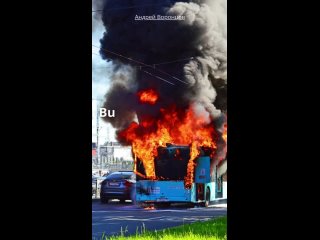 Все лазурные автобусы вернули на дороги Петербурга после проверки. За год сгорело 15 автобусов