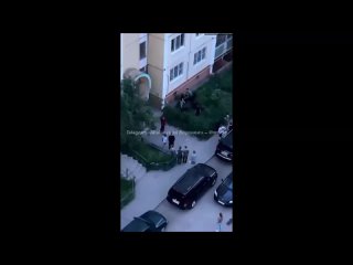 Мордобой на Мордасовой: вялая массовая драка попала на видео в Воронеже