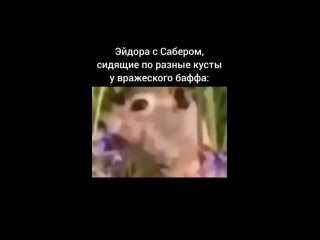 Видео от Сытый голодного не поймет