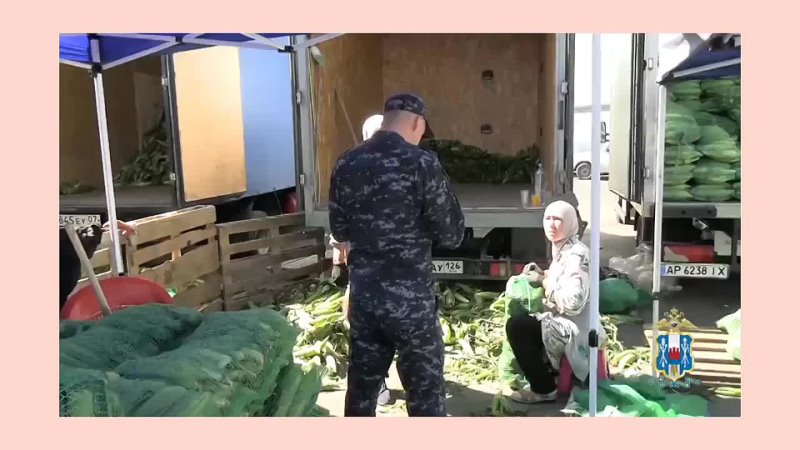 Ростовская область: в результате рейда полиция задержала 30