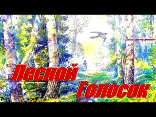 Текст лесной голосок. Скребицкий Лесной голосок. Рассказ Скребицкого Лесной голосок. Скребицкий Лесной голосок картинки.