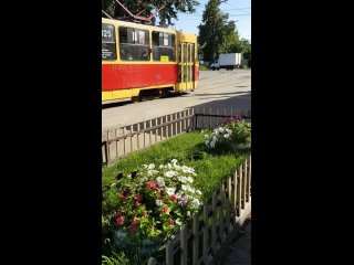 230703 Цветы на улице Гоголя Карачевское шоссе перекрёсток Заводской район трамвайная ост город Орёл