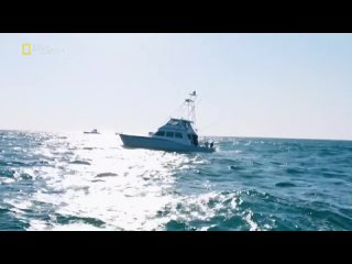 Дикий тунец Север против Юга 8 сезон 16 серия. Красное море