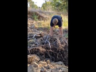 Добытчики золота показаны для сообщества в ВК Услуги Москва!