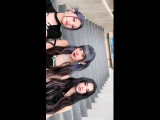 230604 yiren aisha sihyeon tiktok update