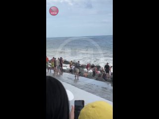 Охранник пляжа в Сочи рассказал, как спасли унесенного штормом ребенка
