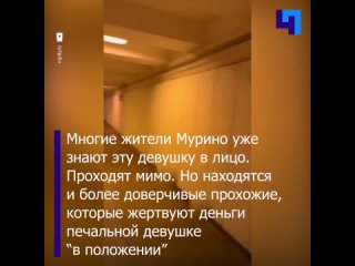 “Вечно беременная” девушка, регулярно просившая милостыню в Мурино, ударила пенсионерку