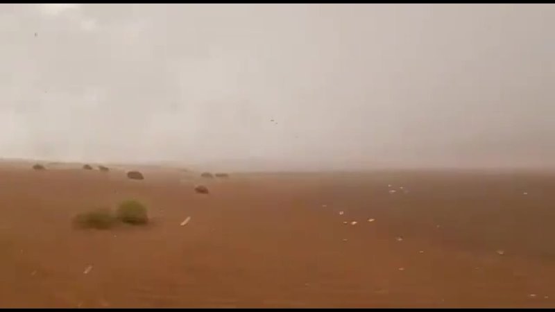 Ливни в оаэ. Дождь в ОАЭ 2021. Ливень в пустыне. Дождь в пустыне. Осадки в пустыне.