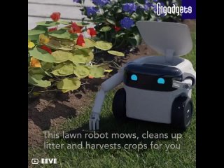 Робот Willow-X — садовник и охранник в одном флаконе.