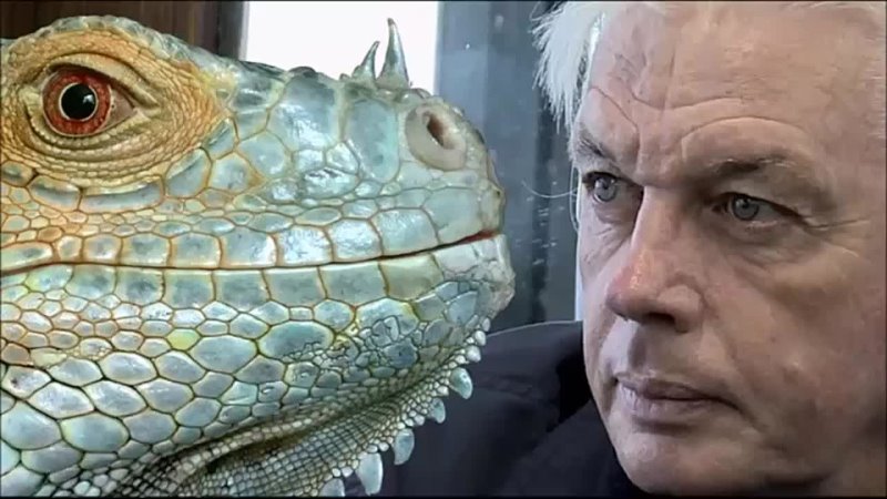 David Icke is Right about Reptilian Control over