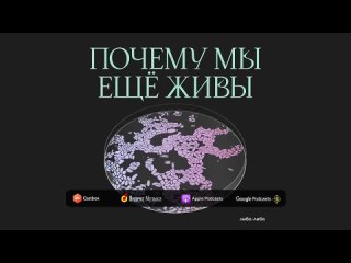 ЛибоЛибо Распад личности: что мы знаем о шизофрении | Подкаст Почему мы ещё живы