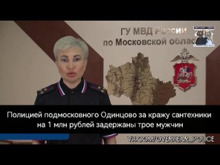 Полицией подмосковного Одинцово за кражу сантехники на 1 млн рублей задержаны трое мужчин