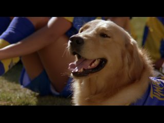 Король воздуха: Лига чемпионов / Air Bud: World Pup, 2000