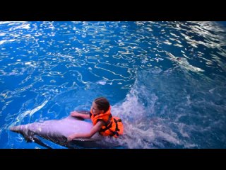 Катание на дельфинах в нижегородской дельфинарии