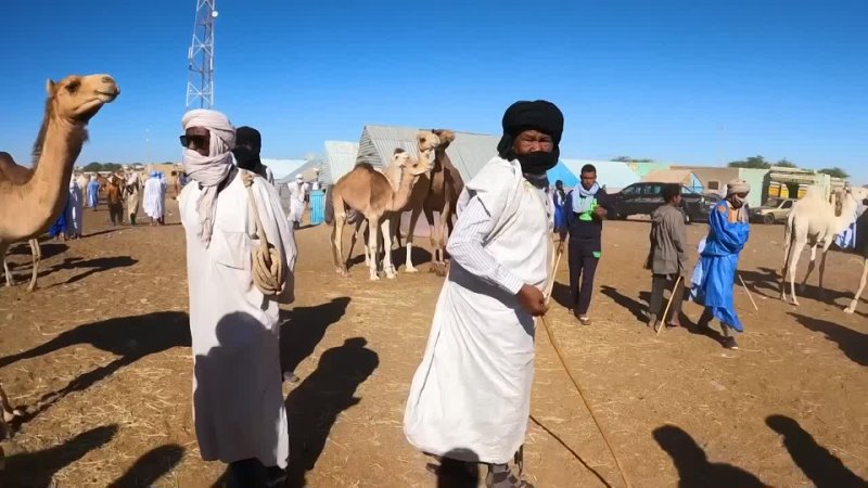 I Bought a Camel  Gave it to a Village (emotional)