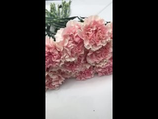 Видео от Магазин-салон цветы “Дачник“ г.Кубинка. Доставка