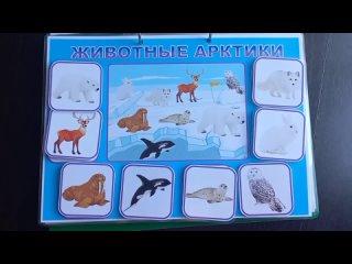 Животные Арктики.mp4