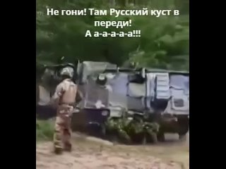 Боевые кусты