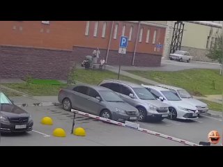 Городской позор: Женщина украла рулон искусственного газона в Омске