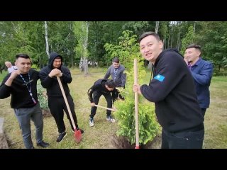 Команды КВН озеленяют парк в Светлогорске | Голосящий КиВиН 2023
