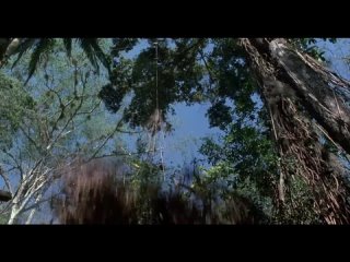 Хищник / Predator [1987, Боевик, Приключения, Ужас, Фантастика, Триллер, HDRip]