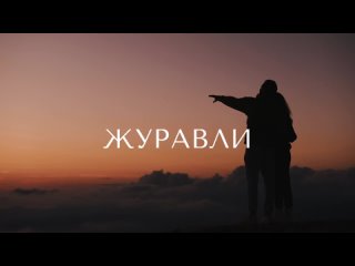 Сергей Родня - Журавли