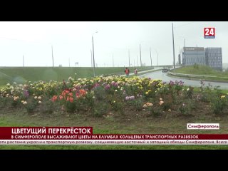 Цветущий перекресток