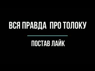 ВСЯ ПРАВДА О ТОЛОКУ. Яндекс Толока