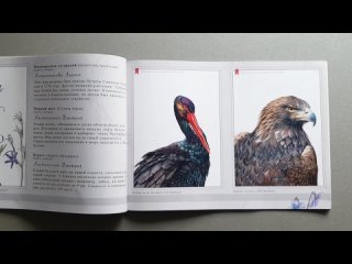 Рисуй краснокнижных птиц с “Творческим Союзом“