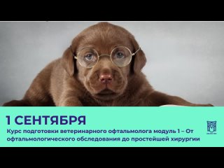 Олег Ястребов - Старт Первого модуля 1 сентября! 2023