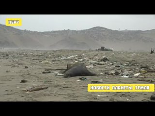 Видео от Новости планеты Земля