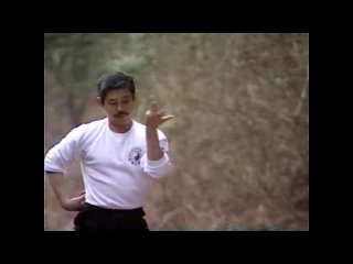 Su Dong Chen - Bible of Kungfu