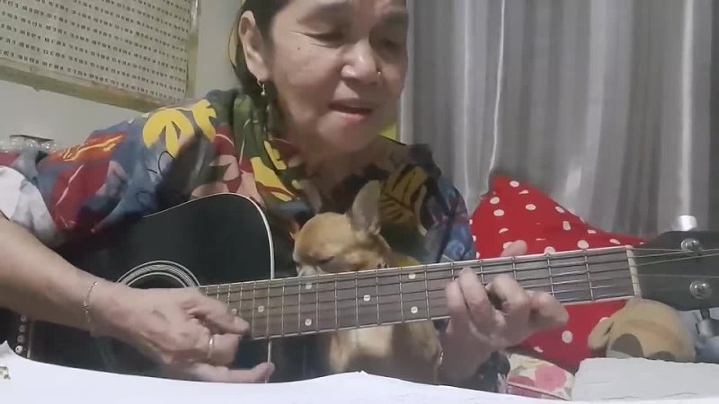 [Malinda Herman Official] Put your head on my shoulder👵Cover by 