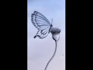 Рисуем бабочку интересным способом