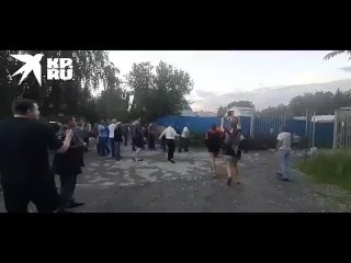 Новосибирские дачники подрались с цыганским табором