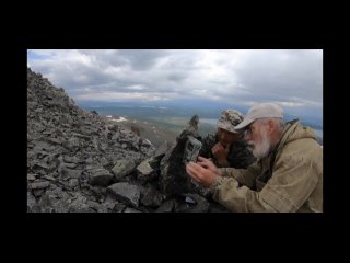 В поисках барсов Шапшала