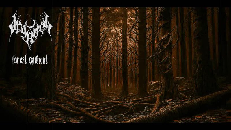 Dark Ambient Compilation.  Forest