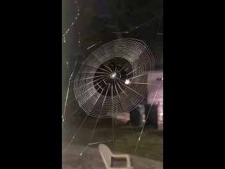 Плетение паутины
